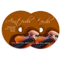 CD/DVD Duplication
