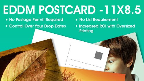 EDDM Postcard - 11x8.5