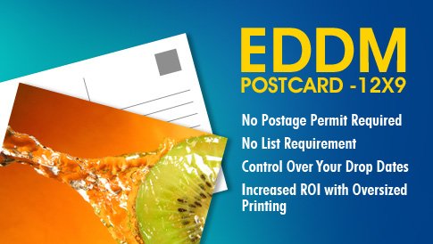 EDDM Postcard - 12x9