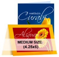 Greeting Card - 8.5x6  (4.25x6 when folded)
