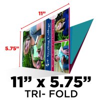 Tri-Fold Mailer - 11x17.25 to 11x5.75