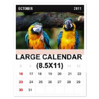 Wall Calendar - 13 months