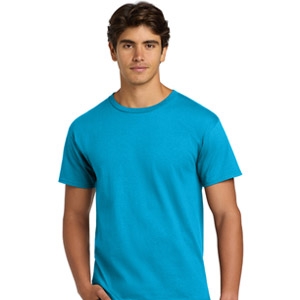 Hanes Authentic 100% Cotton T-Shirt (5250)