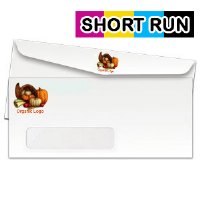 Short Run No. 10 Window Envelope (4 1/8 x 9 1/2)